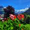 Hotel Sonnwendhof Engelberg