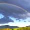 Schau-Rhein#2 - on Top of Bacharach, Rhineview - Bacharach