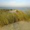 cottage la dune les cigales du bassin à Gujan-Mestras