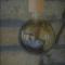 Valerias House