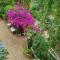 APT 65 M2 DANS VILLA AVEC PISCINE BANYULS SUR MER