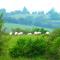 Hay-on-Hye retreat - Hay-on-Wye