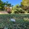 le Garden Cocoon