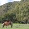 De Oude Meul Country Lodge & Restaurant - Oudtshoorn