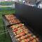 Camping Danubius Tulcea - 图尔恰