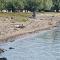 Camping Danubius Tulcea - 图尔恰