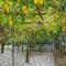 Il Limoneto di Lulù, holidays among the lemon trees - مينوري