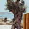 M-Vibes Mykonos Suites