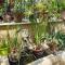 Cocon Provençal B&B Saint Chamas photo 17