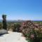 Janakos View Apartment with Private Pool - Glinado Naxos