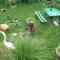 Guesthouse Giorgi