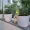 Apartman Nataly