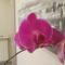 B&B via Piave da Lillo - 弗罗西诺内