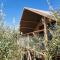 Glamping CirelliWines Abruzzo