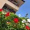 Apartments Zafira