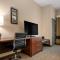 Comfort Inn & Suites North Mankato