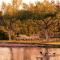 Lake House Bebić