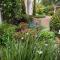 Lemon Tree Lane - Port Elizabeth