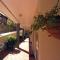 Baycourt Lakefront Motel - Таупо