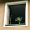 Summer House Bovec - Bovec