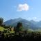 Alpengasthof Rossmoos - Alpbach