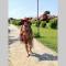 Apartman Nela