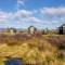 Appleby House & Rabbit Island Huts