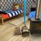 Glamping Yurts near Newquay - Newquay Glamping Yurts near Newquay - Newquay