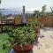 Maris full apartment with roof garden access - Chios