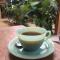 Indano Art Lodge