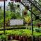 Bluebell homestay