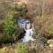 Ben Lomond Lodge - Rowardennan