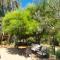 Golden Palms Guest House & Cafe