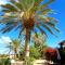 Golden Palms Guest House & Cafe