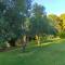 Chrouso Apartments - Paliouri