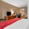Comfort Suites Knoxville North