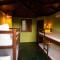 Hostel La Isla - بيبا