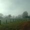 Blackwood Valley Suites