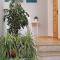 Apulia Bed&Breakfast