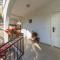 Mikas Seaview Apartments