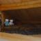 Juula Holiday Home