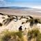 Camber Sands Holiday Chalets - The Grey - Camber