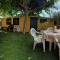 Clematisso photo 14