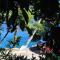 Apartments by the sea Lumbarda, Korcula - 9236