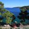 Apartments by the sea Lumbarda, Korcula - 9236