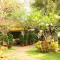 Secret Garden Chiangmai