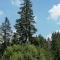 Vila PARADIZO-ZLATAR, studio apartman 1