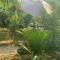Eco House