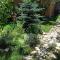 Evergreen Guesthouse