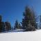 Chalet de Seyne